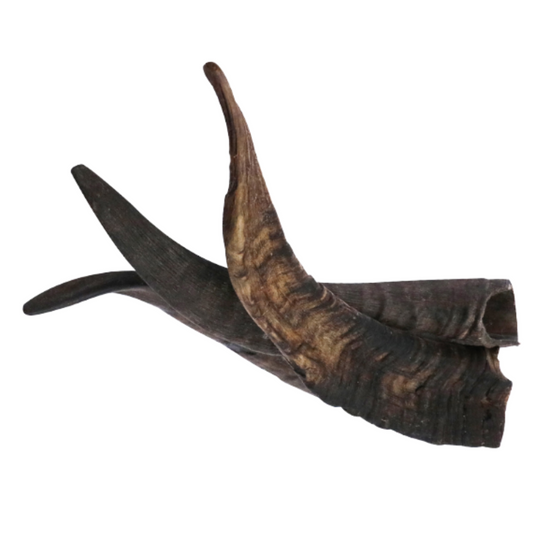 Goat Horns