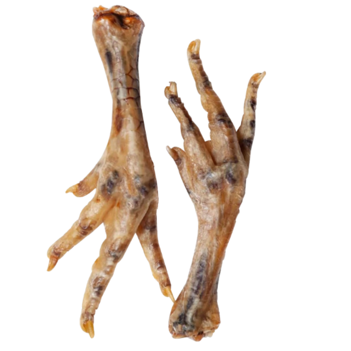 Chicken Feet