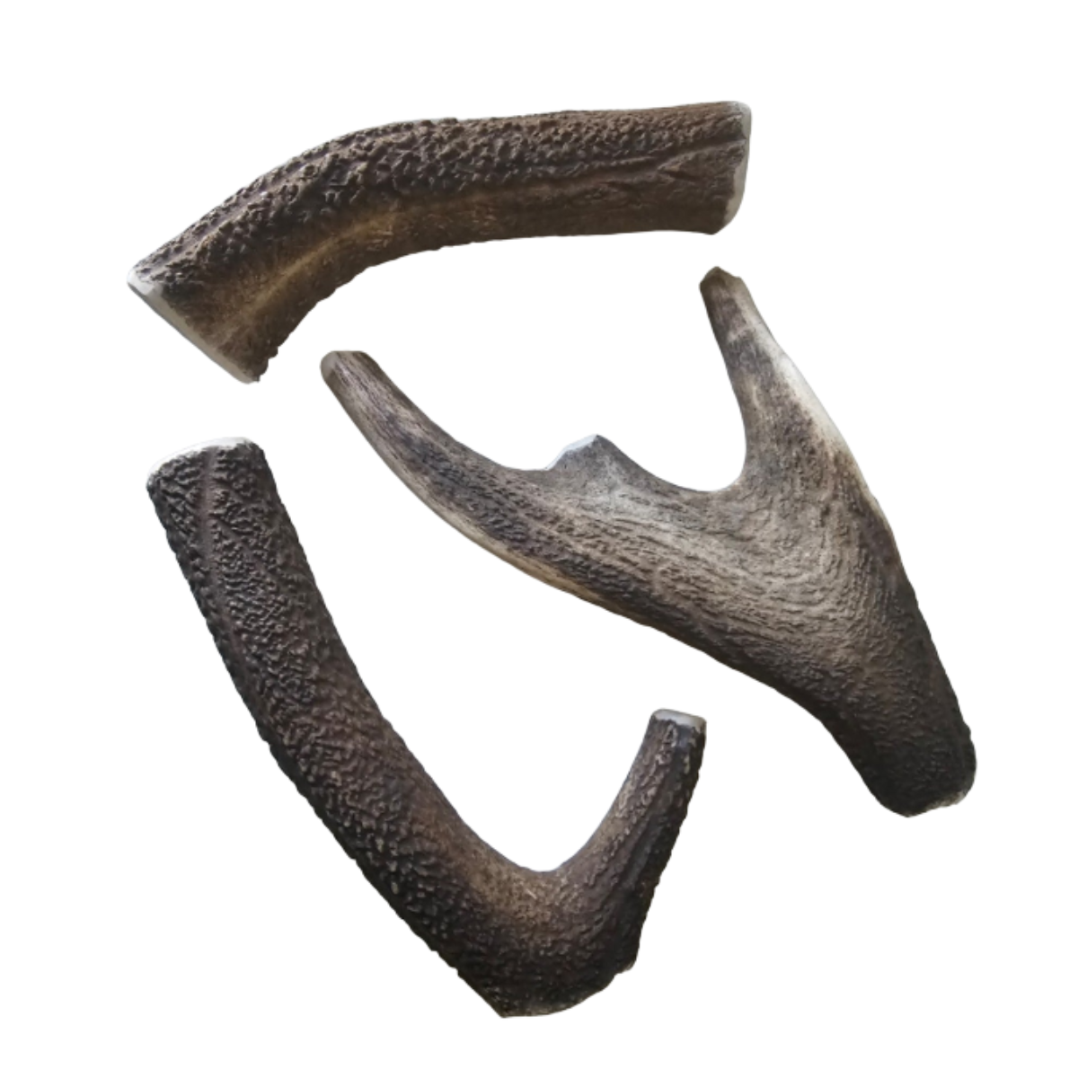 Premium Deer Antlers