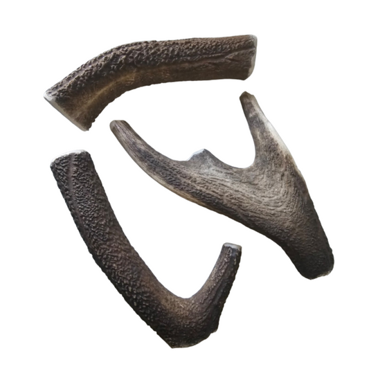 Premium Deer Antlers