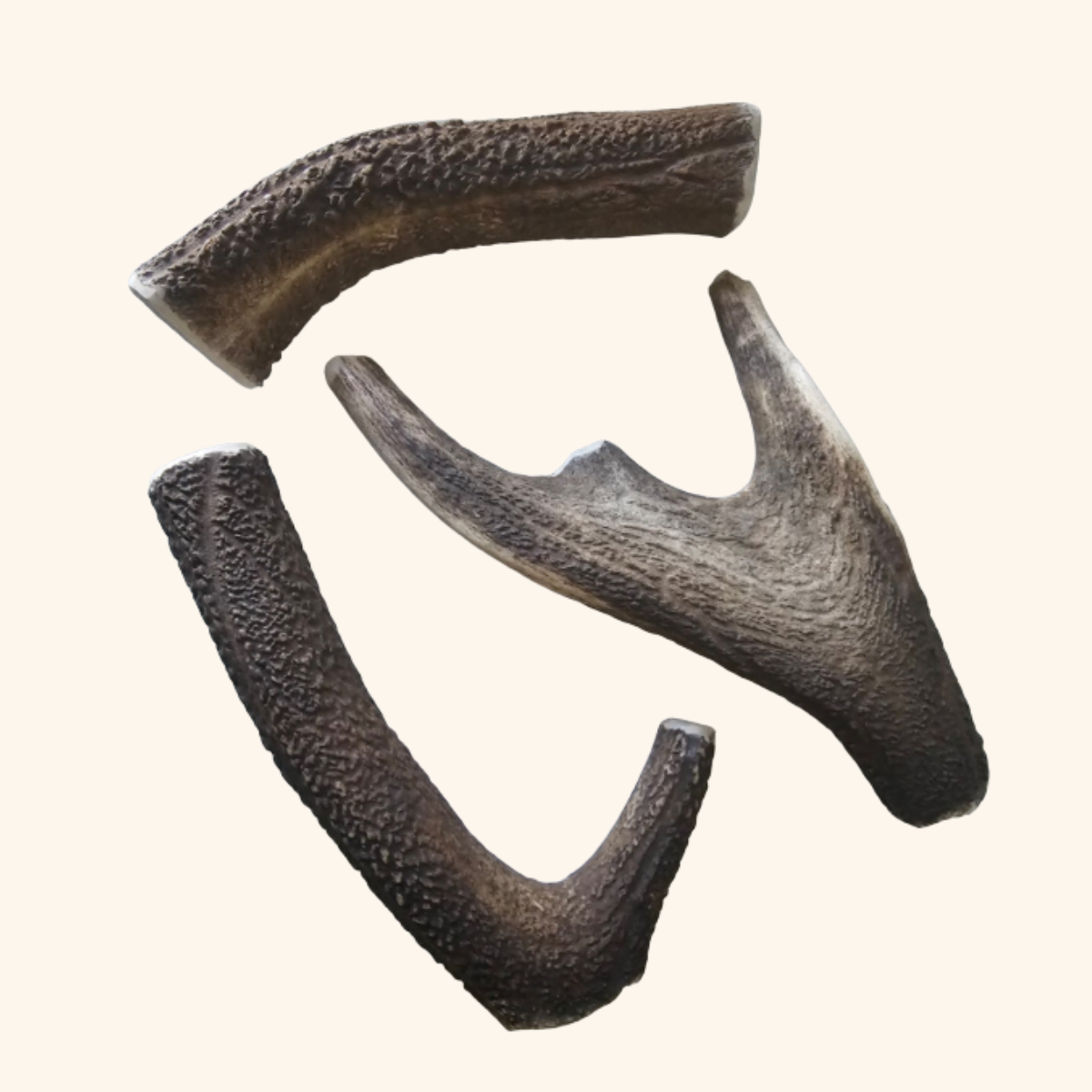 Premium Deer Antlers