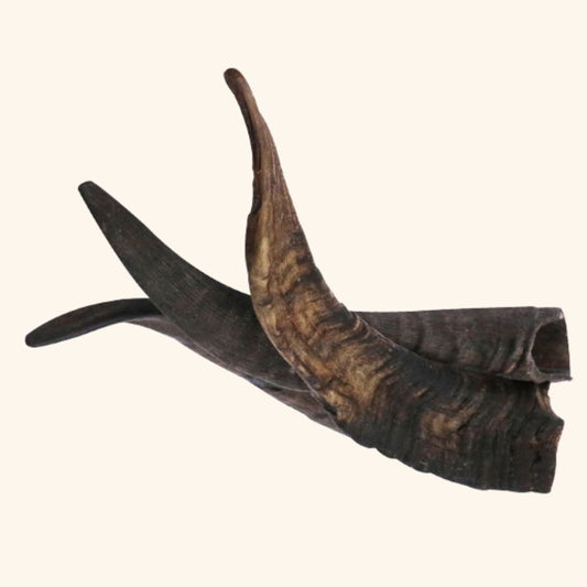 Goat Horns